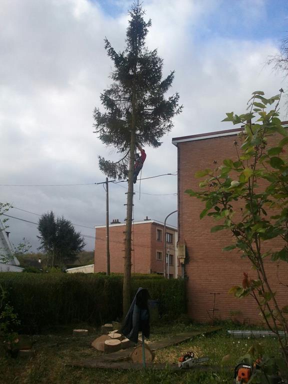 Travaux d’aménagement paysager Arras