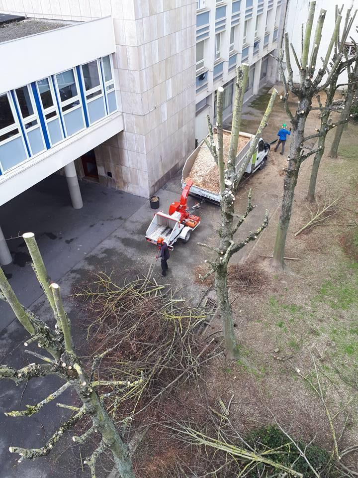 Pose de clôture Arras
