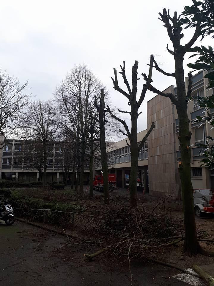 Aménagement paysager Arras